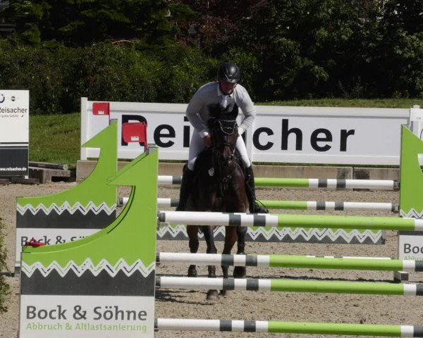 Reitturnier Babenhausen 2023