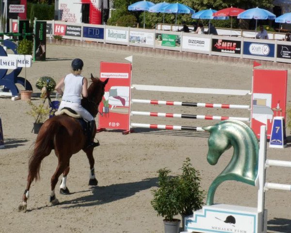 Reitturnier Winterlingen 2023