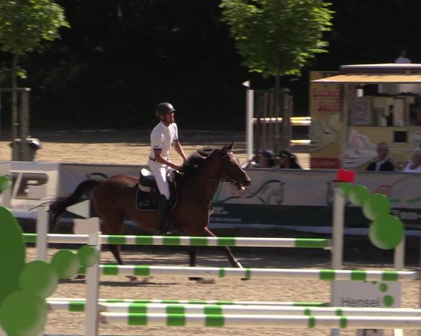 Reitturnier Langenleuba - Oberhain 2023