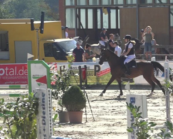 Reitturnier Osnabrück 2023