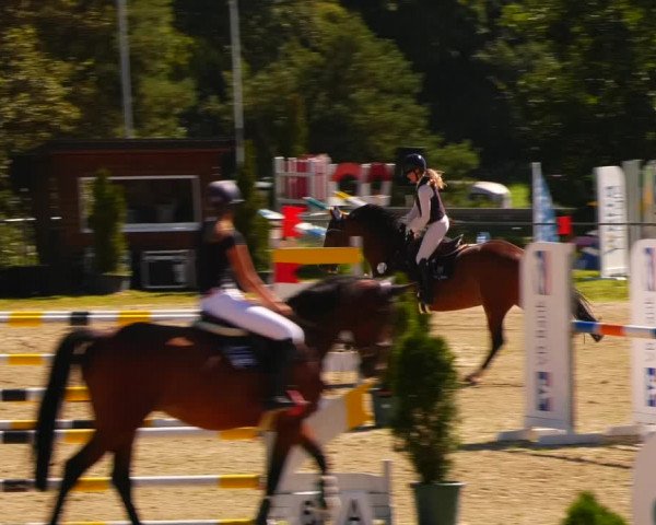 Reitturnier Bad Liebenstein/Sorga 2023