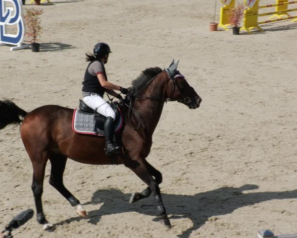 Reitturnier Winterlingen 2023
