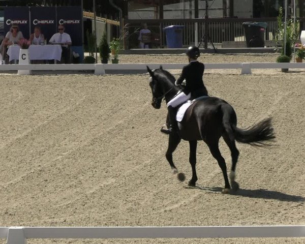 Reitturnier Leichlingen-Witzhelden 2023