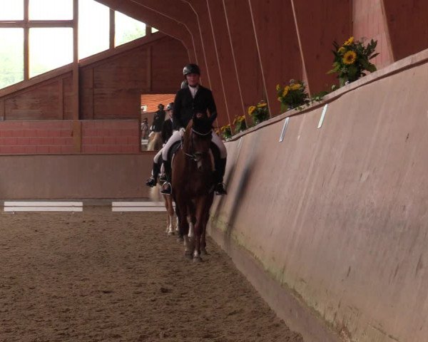 Reitturnier Dortmund-Barop 2023