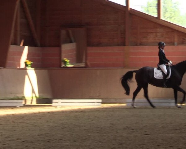 Reitturnier Dortmund-Barop 2023