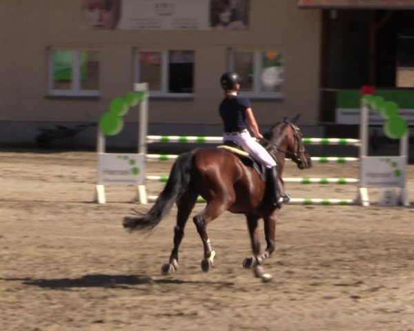 Reitturnier Langenleuba - Oberhain 2023