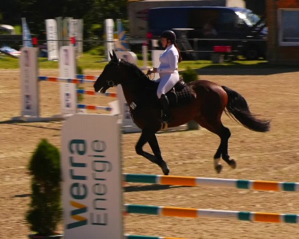 Reitturnier Bad Liebenstein/Sorga 2023