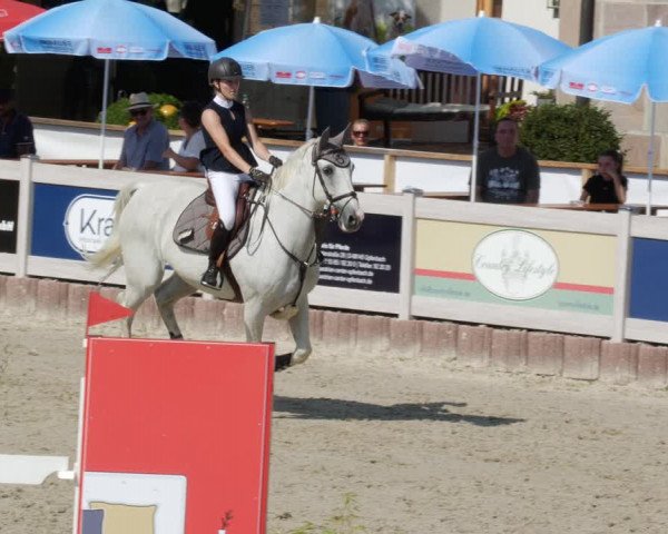 Reitturnier Winterlingen 2023