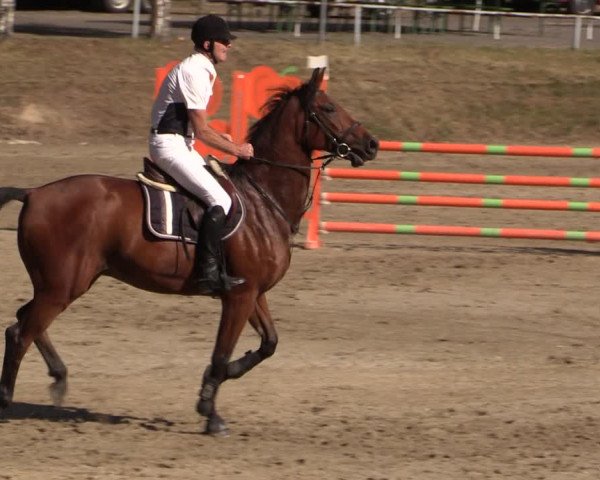 Reitturnier Langenleuba - Oberhain 2023