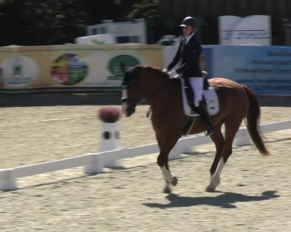 Reitturnier Leichlingen-Witzhelden 2023