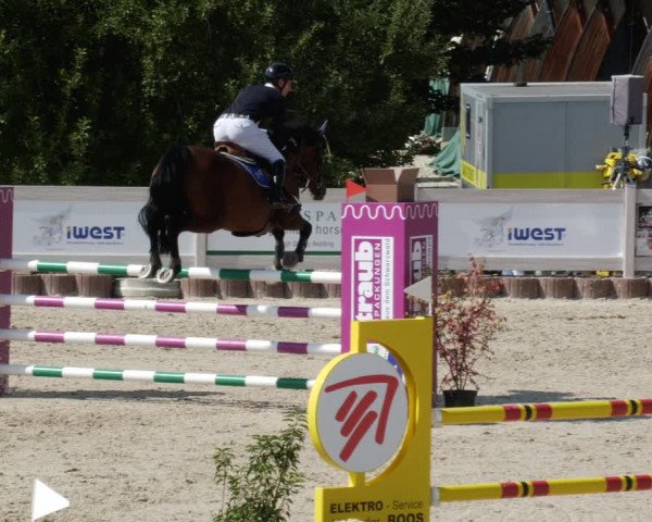 Reitturnier Winterlingen 2023