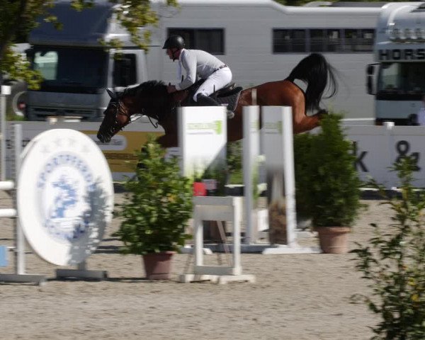 Reitturnier Babenhausen 2023