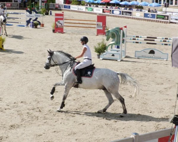 Reitturnier Winterlingen 2023
