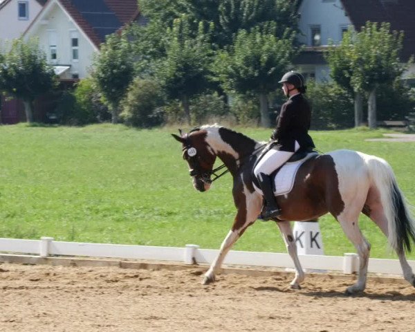 Reitturnier Babenhausen 2023