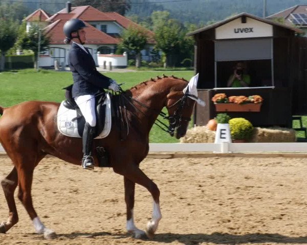 Reitturnier Babenhausen 2023