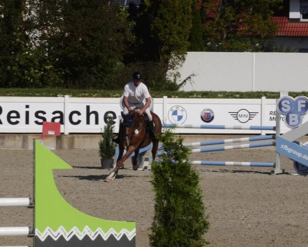 Reitturnier Babenhausen 2023