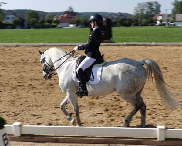 Reitturnier Babenhausen 2023