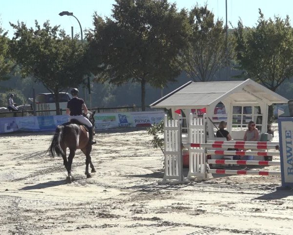 Reitturnier Osnabrück 2023