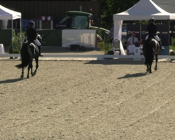 Reitturnier Leichlingen-Witzhelden 2023