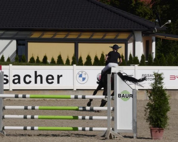 Reitturnier Babenhausen 2023