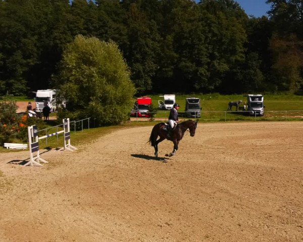 Reitturnier Bad Liebenstein/Sorga 2023