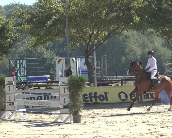 Reitturnier Osnabrück 2023