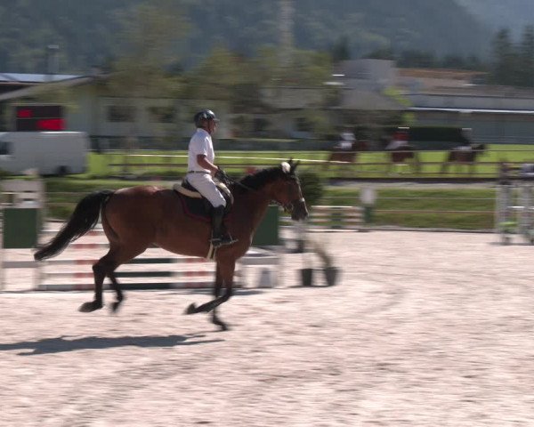 Reitturnier St. Ulrich am Pillersee 2023