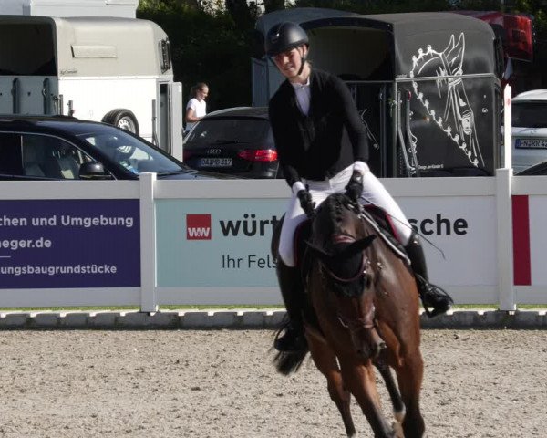 Reitturnier Babenhausen 2023
