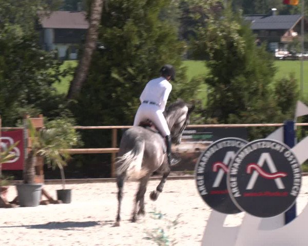 Reitturnier St. Ulrich am Pillersee 2023