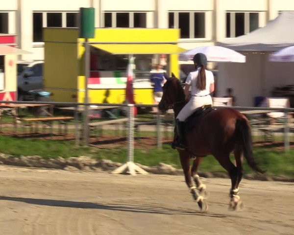 Reitturnier Dortmund-Barop 2023