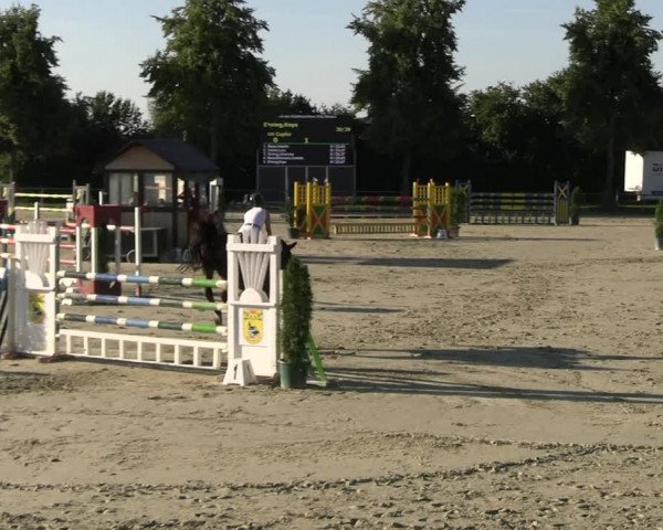 Reitturnier Appelhülsen 2023