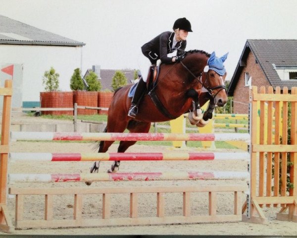 dressage horse Urielswald (KWPN (Royal Dutch Sporthorse), 2001, from Oo-Seven)