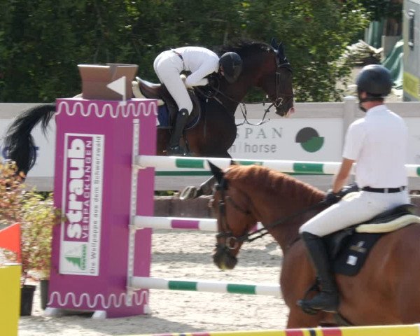 Reitturnier Winterlingen 2023