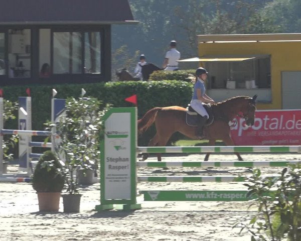 Reitturnier Osnabrück 2023