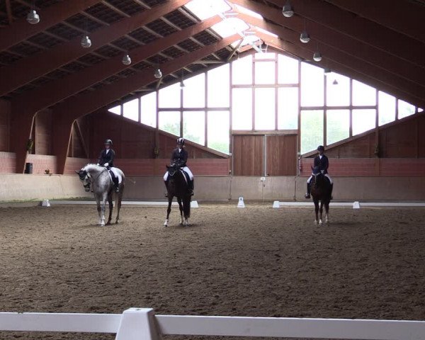 Reitturnier Dortmund-Barop 2021