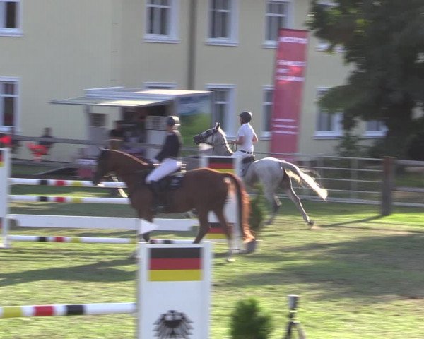 Reitturnier Niemegk / Neuendorf 2023