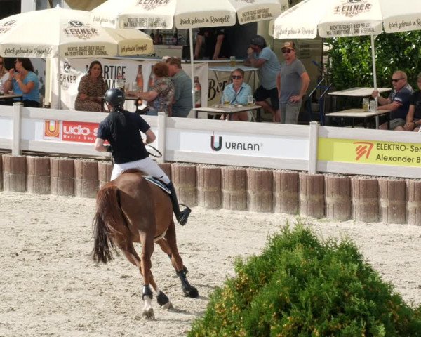 Reitturnier Winterlingen 2023