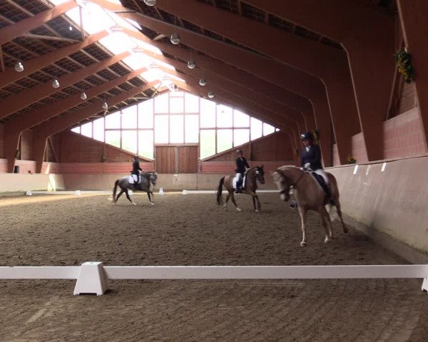 Reitturnier Dortmund-Barop 2021