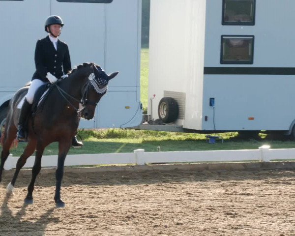 Reitturnier Babenhausen 2023