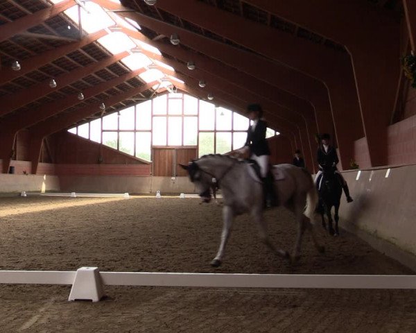 Reitturnier Dortmund-Barop 2021