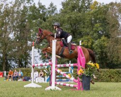 jumper For Pleasure Junior (German Riding Pony, 2008, from For Kids Only)