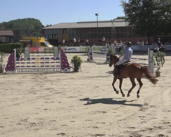 Reitturnier Osnabrück 2023