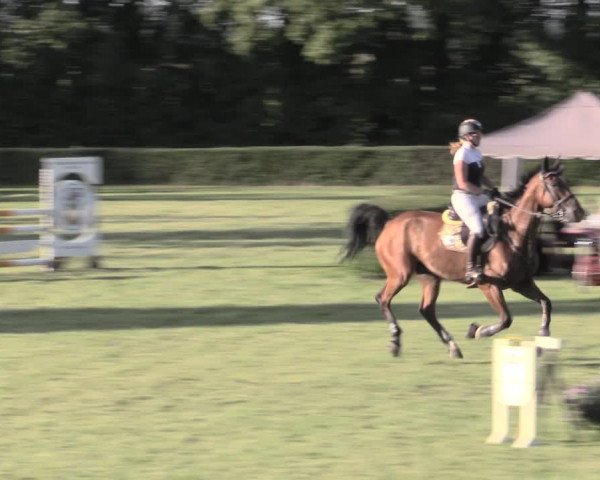 Reitturnier Westeregeln 2023