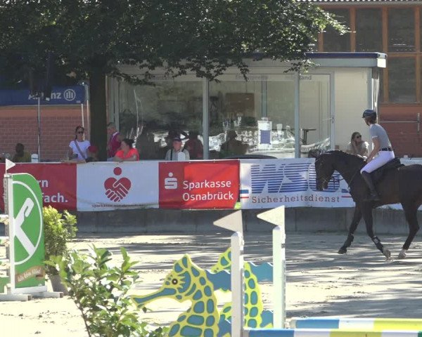 Reitturnier Osnabrück 2023