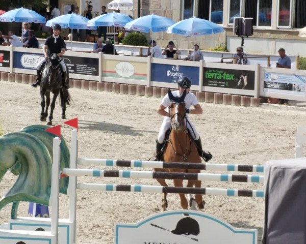 Reitturnier Winterlingen 2023