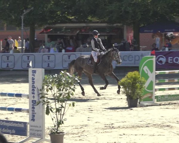 Reitturnier Osnabrück 2023