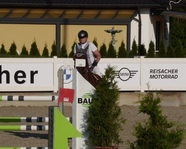 Reitturnier Babenhausen 2023