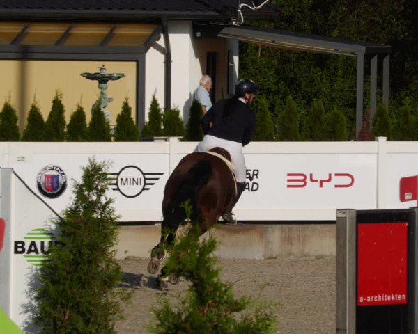 Reitturnier Babenhausen 2023