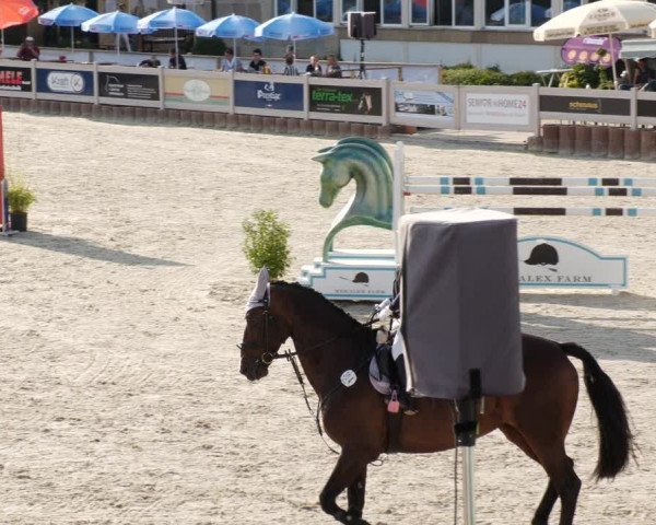 Reitturnier Winterlingen 2023
