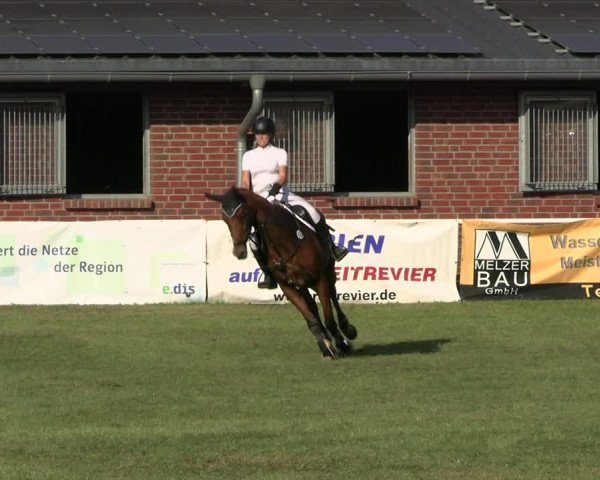 Reitturnier Münchehofe 2023